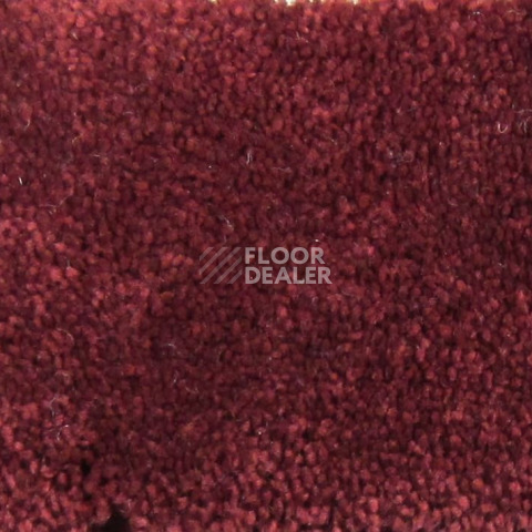 Ковролин Condor Carpets Bentley Bentley 236 фото 1 | FLOORDEALER